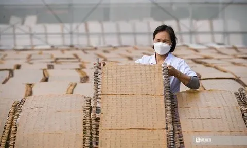 Bắc Giang: Cận cảnh sản xuất mỳ chũ Lục Ngạn từ gạo bao thai