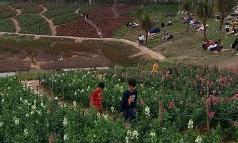 "Du lịch trải nghiệm về với thiên nhiên đang hút khách"