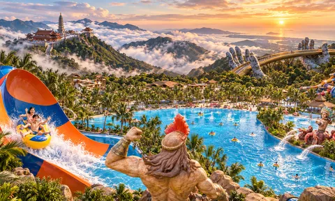 Sun World có gì hấp dẫn? Những điểm vui chơi đáng trải nghiệm