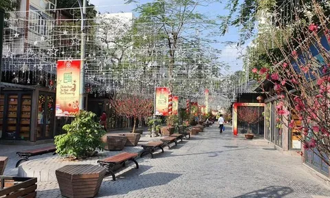 Mở cửa phố sách xuân Nhâm Dần từ ngày 27 tháng Chạp