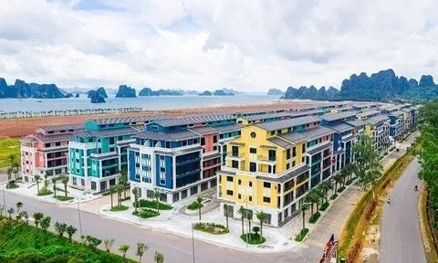 CEO Group dứt chuỗi lỗ 4 quý liên tiếp, dòng tiền kinh doanh vẫn âm