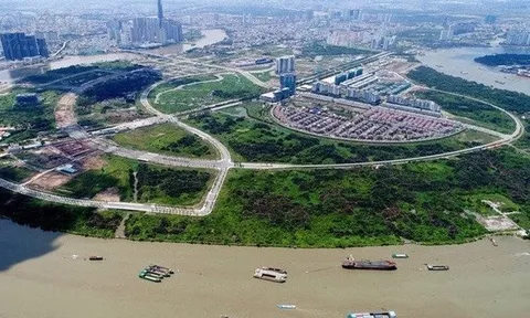 Trúng đấu giá rồi bỏ cọc - Hành vi bất khả hay chủ ý từ trước?