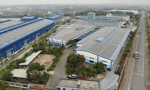 Một doanh nghiệp "họ" Louis bị phạt 170 triệu đồng