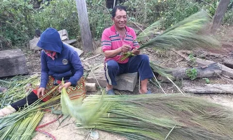 Mùa hái “lộc trời” ở Đắk Lắk