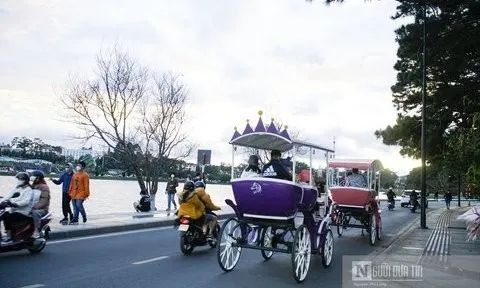 Lâm Đồng thích ứng an toàn trong bình thường mới để phát triển du lịch