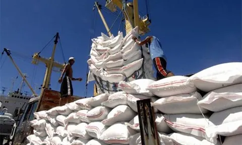 Giá gạo xuất khẩu tăng cao nhất trong những năm gần đây