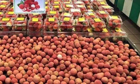 Bảo hộ nhãn hiệu ở nước ngoài không để doanh nghiệp ‘chông chênh’