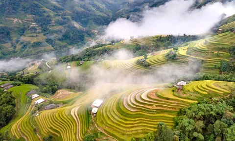 Kiệt tác ‘ruộng bậc thang Hoàng Su Phì’ nơi địa đầu Tổ quốc