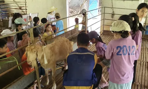 Xây dựng hệ thống 'du lịch nông thôn'