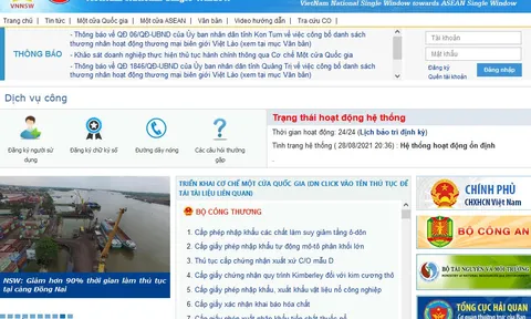 Cấp phép nhập khẩu trang thiết bị y tế qua Cơ chế một cửa quốc gia