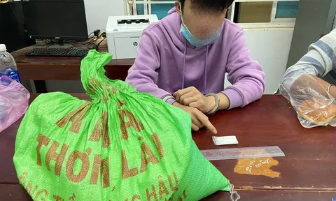 Giấu ma túy đá trong 'lương thực thiết yếu' để thông chốt kiểm soát