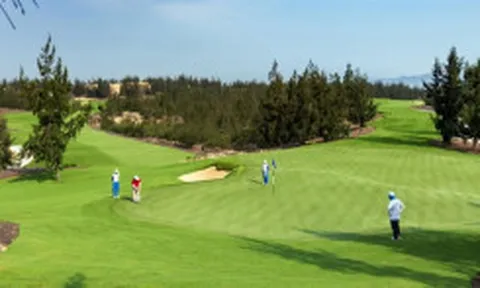 Đình chỉ công tác Giám đốc Sở Du lịch Bình Định 'chơi golf' khi tỉnh giãn cách xã hội