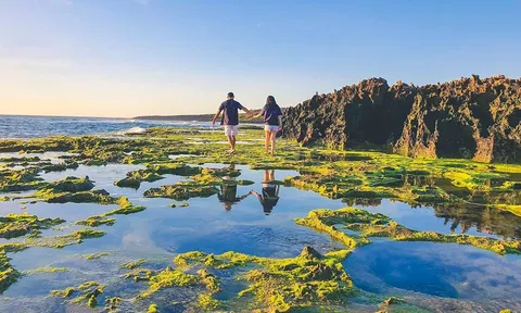 Khám phá 03 điểm san hô cổ nổi tiếng tại Ninh Thuận