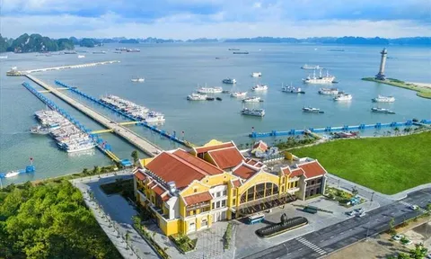 Hạ Long thí điểm tổ chức dịch vụ ăn uống trên tàu du lịch
