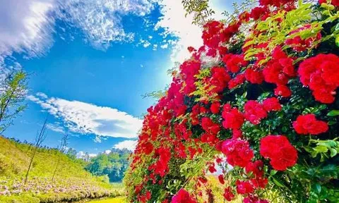 Những điểm du lịch nổi tiếng âm thầm ‘khoác áo mới’ chờ tái xuất