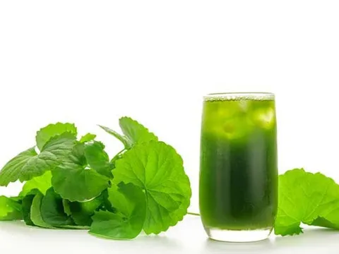 Các loại nước uống tốt cho người bị viêm đường tiết niệu