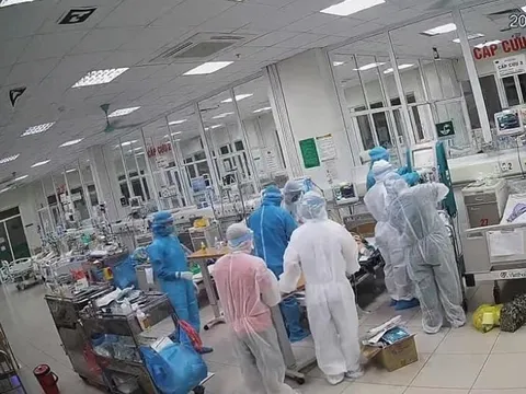 11 bệnh nhân nặng và "siêu nặng" được cứu sống thần kỳ tại BV Bệnh Nhiệt đới Trung ương