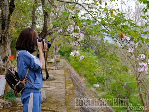 Lễ hội hoa vào mùa
