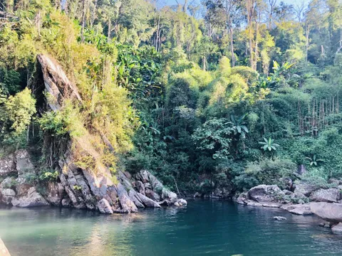 Khu bảo tồn thiên nhiên Mường Nhé - Điện Biên
