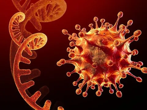 Tái nhiễm COVID-19: Ai có nguy cơ cao? Có nguy hiểm không, điều trị như thế nào?