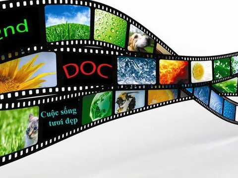 Sửa đổi quy định về quản lý xuất khẩu, nhập khẩu văn hóa phẩm không nhằm mục đích kinh doanh