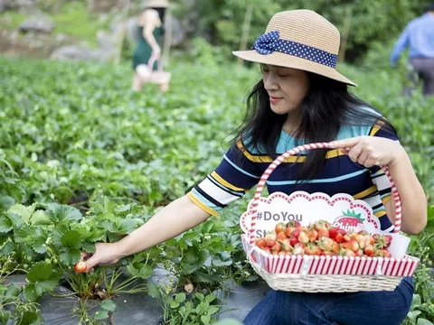 Chimi Farm - Nông trại vui vẻ