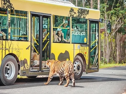 Lạc vào thiên nhiên hoang dã giữa đảo ngọc tại Vinpearl Safari Phú Quốc