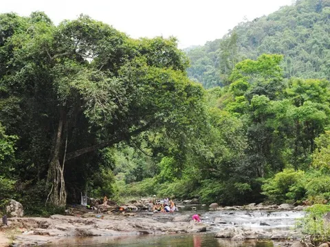 Sơn Động (Bắc Giang): Thu hút đông đảo khách du lịch trong những tháng đầu năm