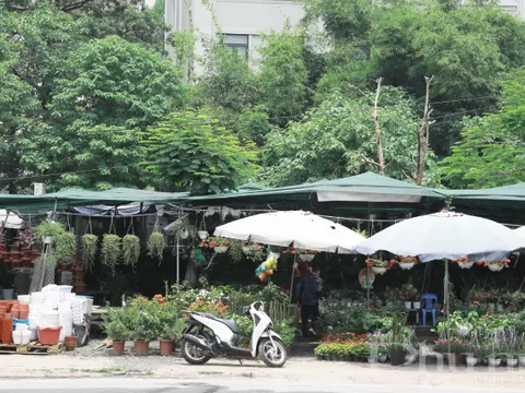 Đường Nghiêm Xuân Yêm: Ngang nhiên lấn chiếm vỉa hè để bán hàng