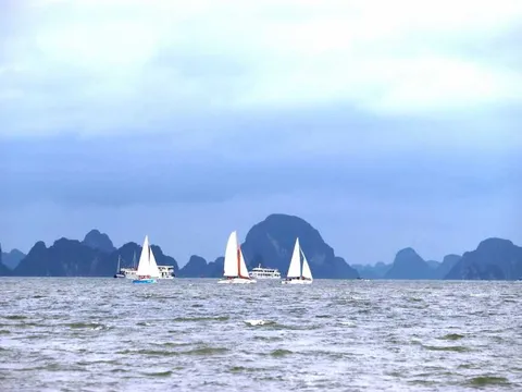 Lần đầu tiên tổ chức diễu hành thuyền buồm thể thao trên Vịnh Hạ Long (Quảng Ninh)