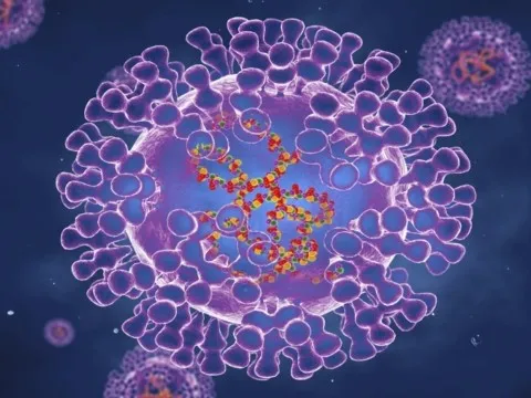 12 quốc gia ghi nhận bệnh đậu mùa khỉ, Việt Nam giám sát chặt chẽ