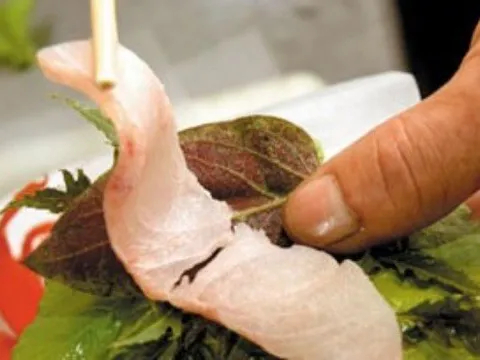 Phòng bệnh sán lá gan nhỏ, không nên ăn gỏi cá