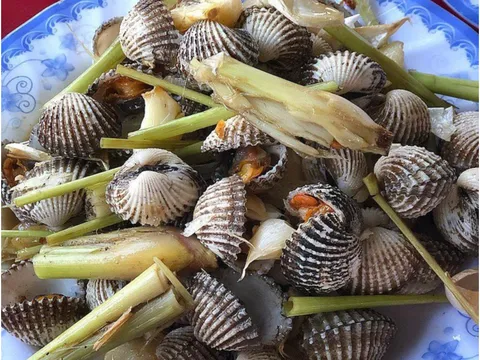 Nơi có sò huyết ngon nhất Việt Nam