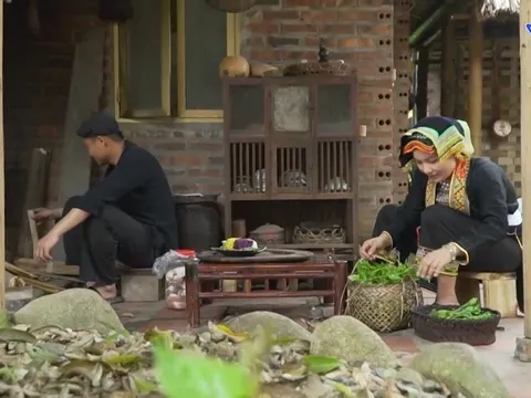Phát triển du lịch homestay Thái Nguyên