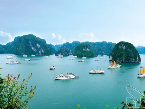 10 cách tuyệt nhất để khám phá trọn vẹn Vịnh Hạ Long