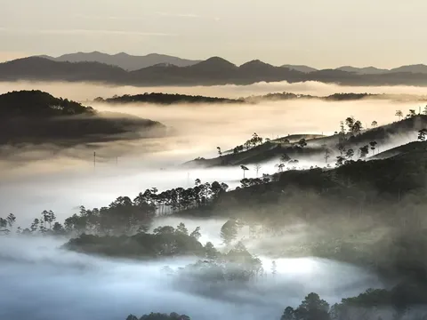 Đà Lạt xây dựng hồ sơ tham gia mạng lưới các Thành phố sáng tạo của UNESCO trong lĩnh vực âm nhạc