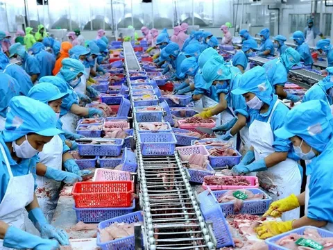 Nền kinh tế Việt Nam có độ mở lớn nhất thế giới