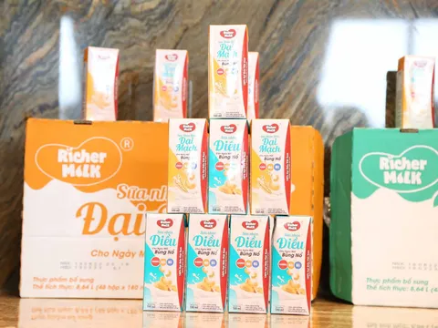 Sự khác biệt trong khâu sản xuất sữa hạt điều Richer Milk đem đến hương vị tự nhiên hoàn hảo