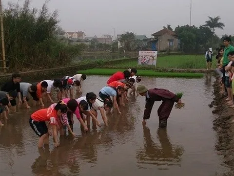 Du lịch nông thôn: “Mỏ vàng” chưa được khai thác hết