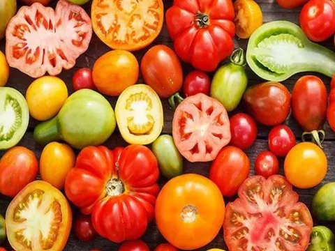 5 loại quả bù nước cho cơ thể