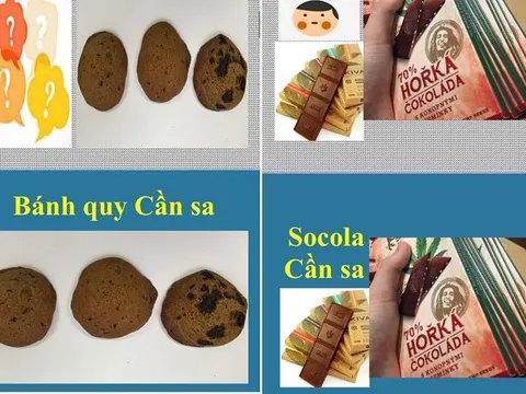 Cảnh báo ma túy “núp bóng” dưới dạng nước giải khát, bánh kẹo