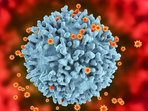 "Biến thể XBB đã xuất hiện ở TPHCM và Tây Ninh"