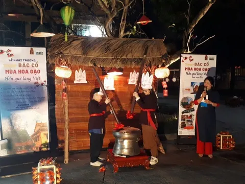 "Tour đêm Bác Cổ – Mùa hoa gạo”