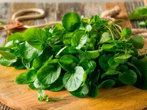 Loại rau rẻ bèo ở Việt Nam được nước Mỹ chấm "10 điểm", tốt ngang thịt bò
