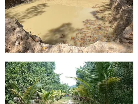 Vụ kiện dân sự tranh chấp đất tại Phú Quốc - Kiên Giang: Nguyên đơn Tô Hoàng Huy khiếu nại yêu cầu Tòa án xem xét lại quyết định