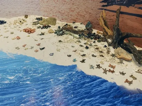 Lạc vào "xứ sở" rùa biển gốm giữa Hà Nội: Đằng sau khung cảnh biển cực "ảo" là ý nghĩa vô cùng đặc biệt mà ai cũng nên biết