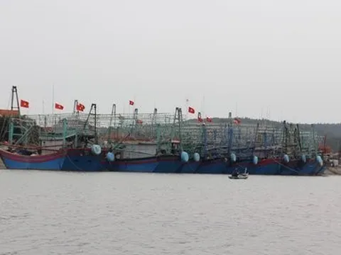 Thua lỗ sau nhiều lần ra khơi, nhiều ngư dân xót xa rao bán tàu