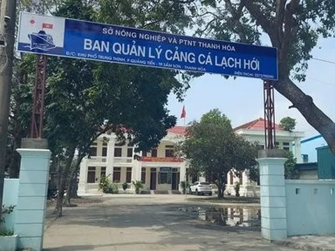 Tham gia đánh bạc, giám đốc cảng cá bị khởi tố, đình chỉ công tác