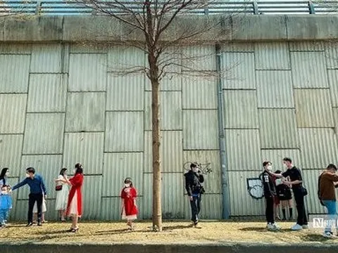 Dự báo thời tiết ngày 10/3/2022: Hà Nội sáng sương mù, trưa nắng đẹp