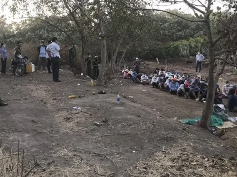 Tiền Giang: Triệt phá tụ điểm đá gà hàng chục đối tượng tham gia